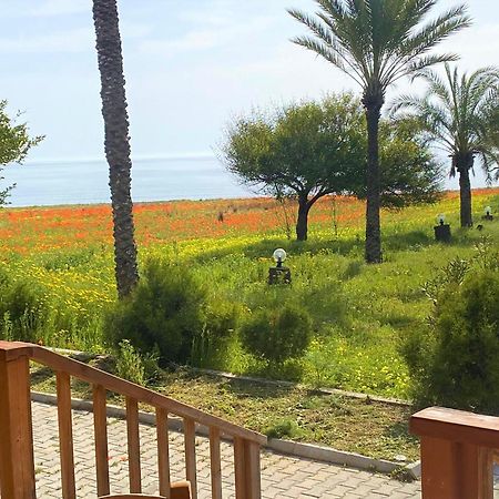 Paradise Karpaz Hotel & Restaurant Rizokarpaso Dış mekan fotoğraf