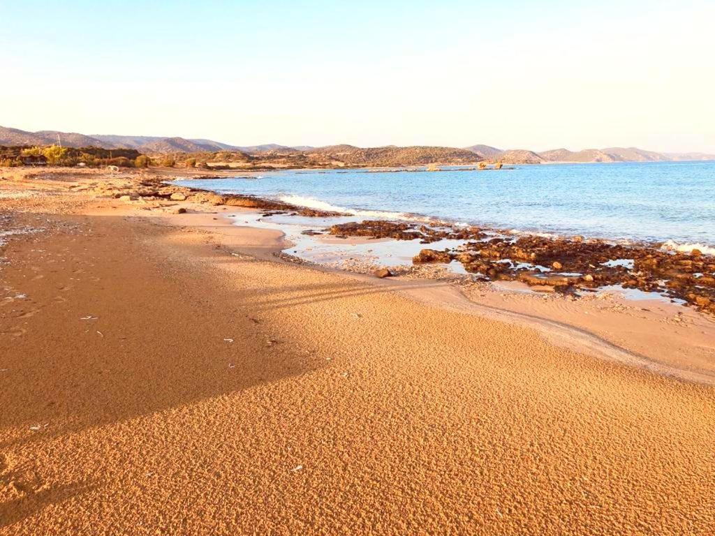 Paradise Karpaz Hotel & Restaurant Rizokarpaso Dış mekan fotoğraf