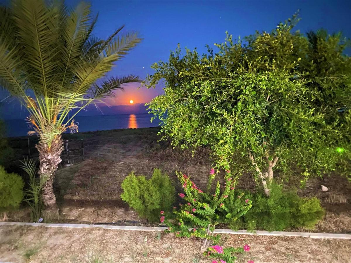 Paradise Karpaz Hotel & Restaurant Rizokarpaso Dış mekan fotoğraf