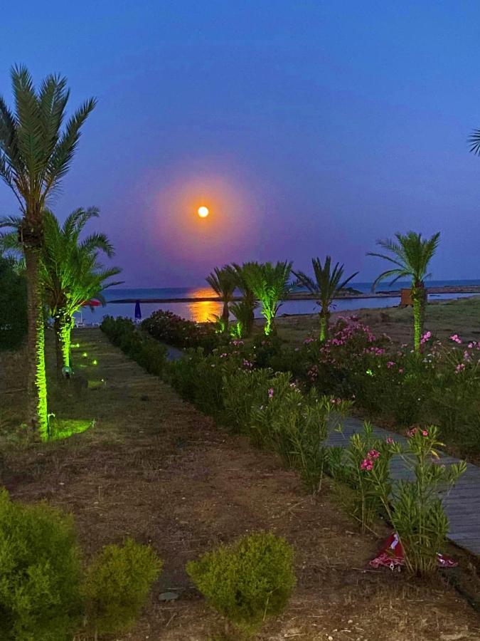 Paradise Karpaz Hotel & Restaurant Rizokarpaso Dış mekan fotoğraf