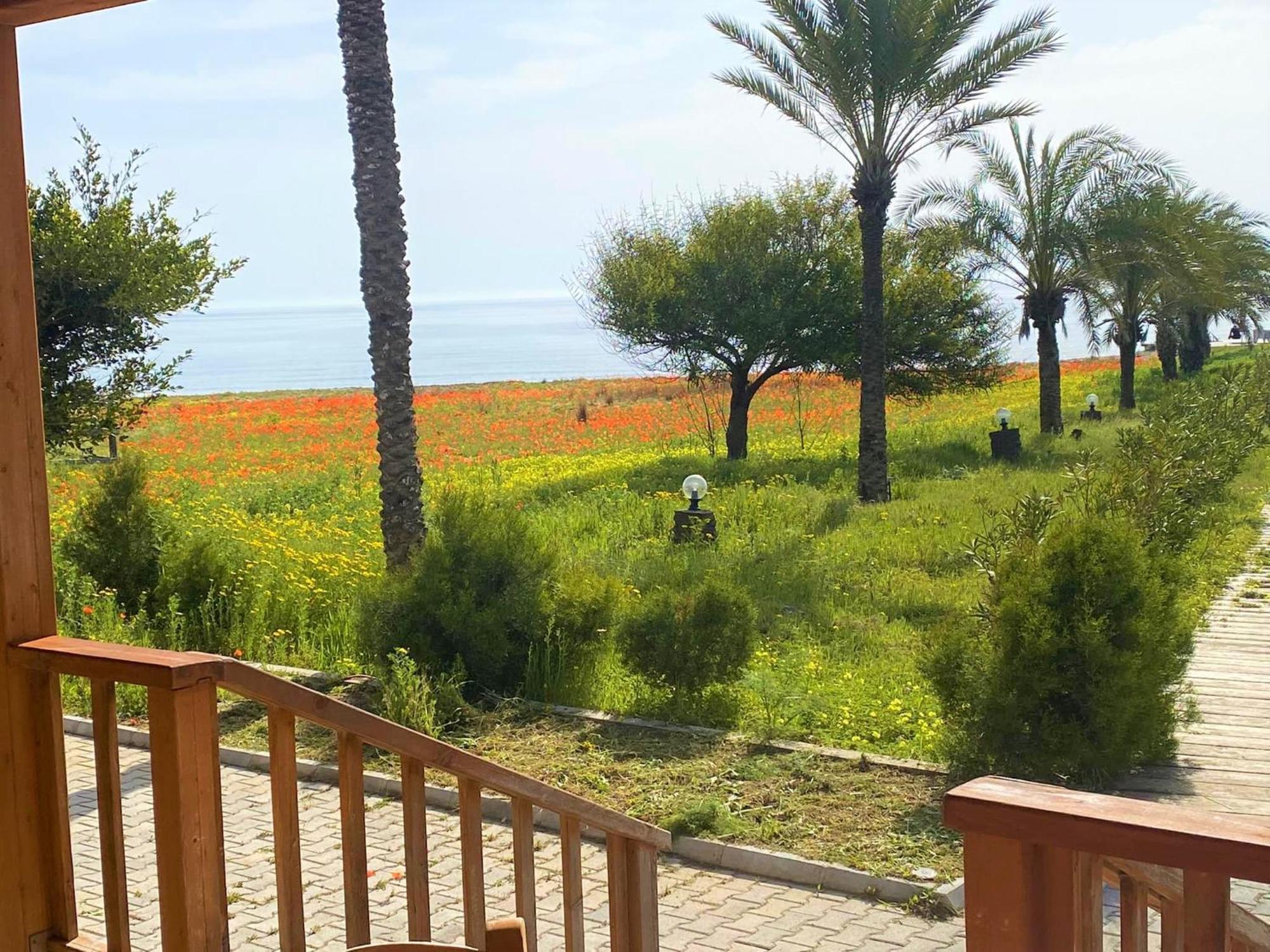 Paradise Karpaz Hotel & Restaurant Rizokarpaso Dış mekan fotoğraf
