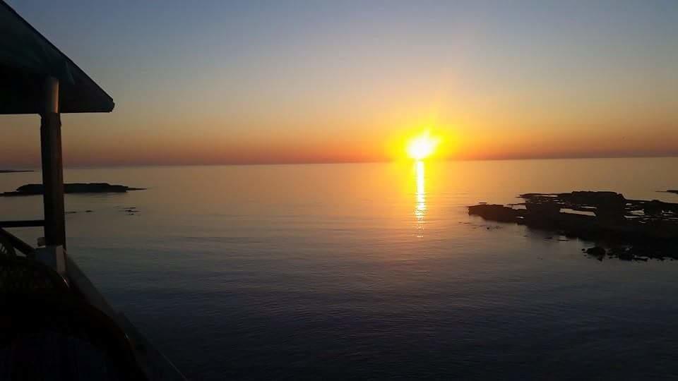 Paradise Karpaz Hotel & Restaurant Rizokarpaso Dış mekan fotoğraf